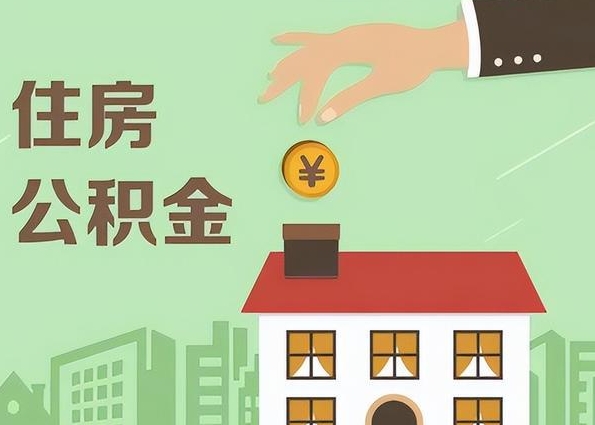 上海急辞当天可以走吗？法律风险与应对策略全解析